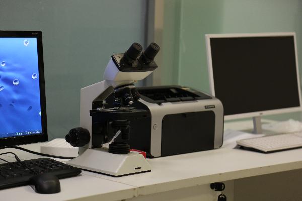 宝宝血常规化验单怎么看贫血