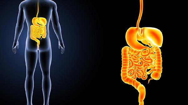 儿童多器官功能障碍综合征怎么检查