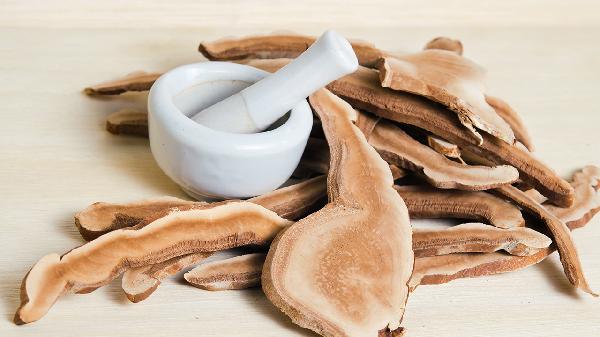 灵芝治疗失眠吗