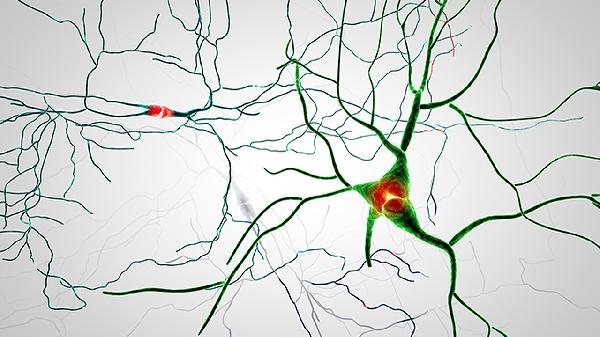 治疗神经性失眠的方法是什么