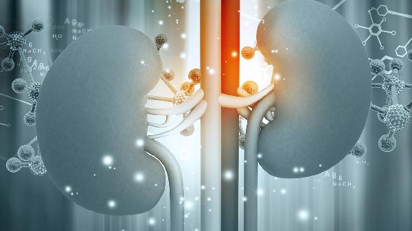 肾病电解质是什么检查