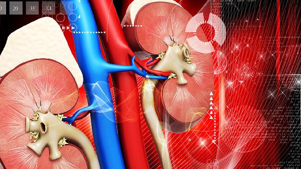 肾上腺avs的检查是什么