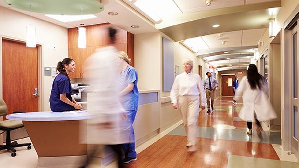 去医院检查是否痛风应该挂什么科