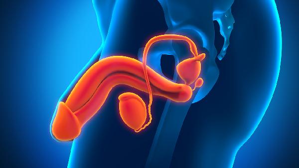 输精管怎样检查