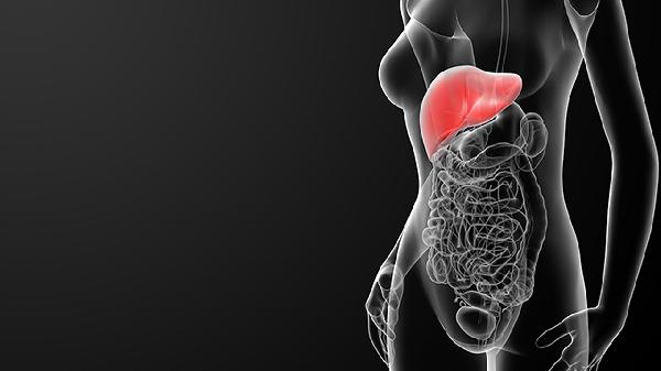 肝功能检查结果如何分析