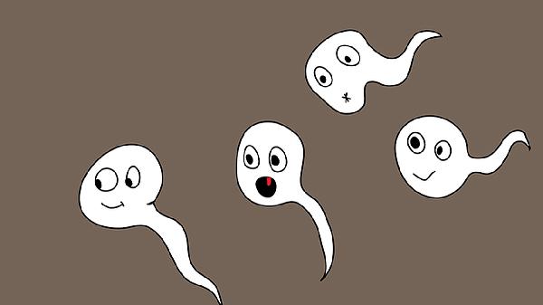 精子质量检查注意事项