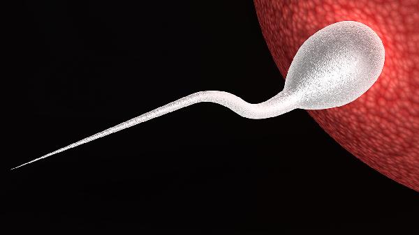 人工授精如何筛选精子