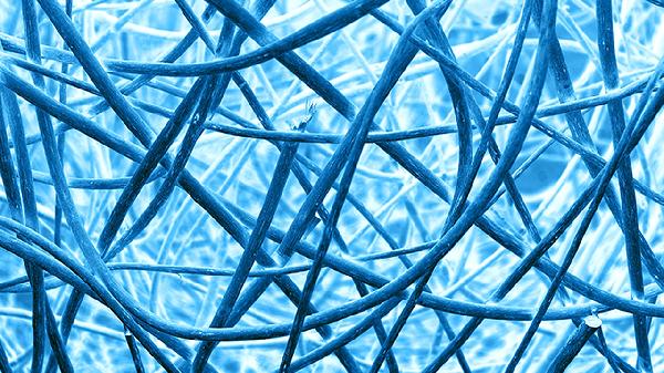 血管紧张素转化酶是什么意思