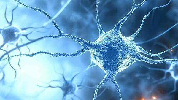 植物神经紊乱和焦虑症一样吗