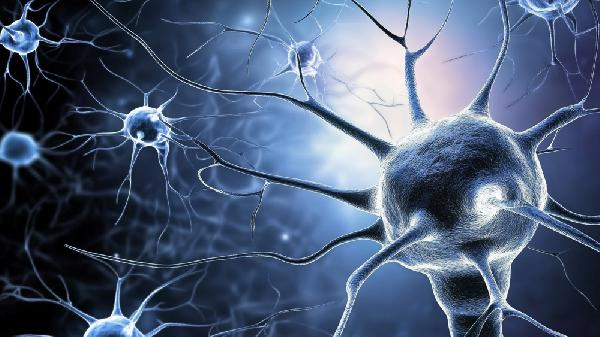 焦虑植物神经紊乱吃什么药