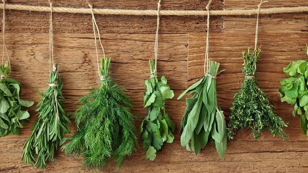瘦身党必看!这几种食物越吃越瘦
