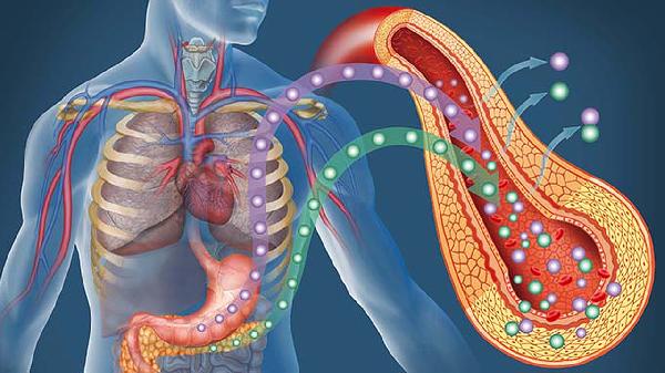 饭后常胀痛?你可能忽视了胰腺的6个“崩溃前兆”