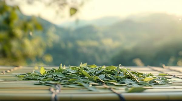 喝龙井茶的好处和坏处