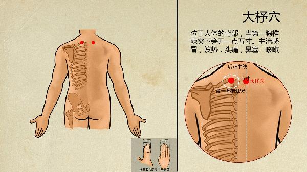 如何用中医方法治疗鼻炎