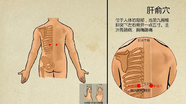 中医把咳嗽分为哪几种