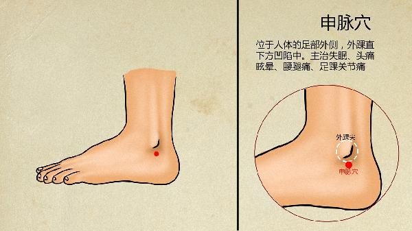 中医怎么治胃胀