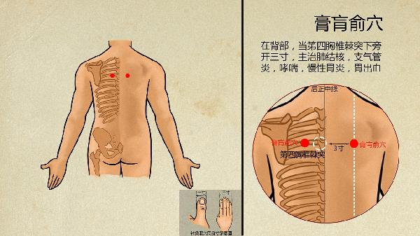 中医脱发辩证如何治疗