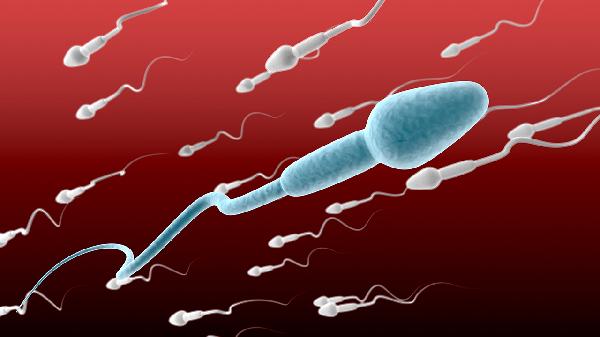精子有红色颗粒状是什么原因引起的