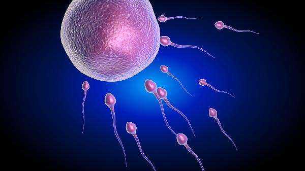男方精子质量差会导致女方流产吗