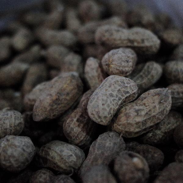 家里发霉花生别舍不得扔，吃一口危害大，为了健康赶紧丢掉！