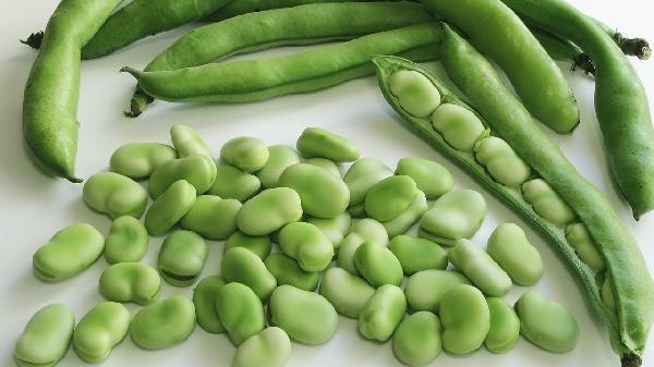 毛豆真能护肾降肌酐?别乱吃,搞懂这几点才真正对身体好