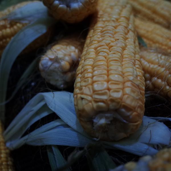 吃玉米会让血糖飙升?别被误导,这4种食物才是控糖真正的帮手