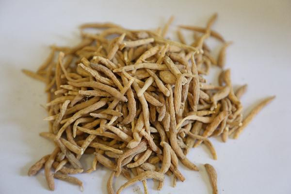 什么中药治痛风好