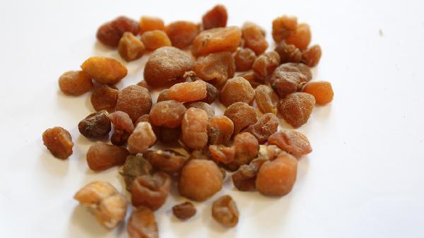 治疗内分泌失调的药物