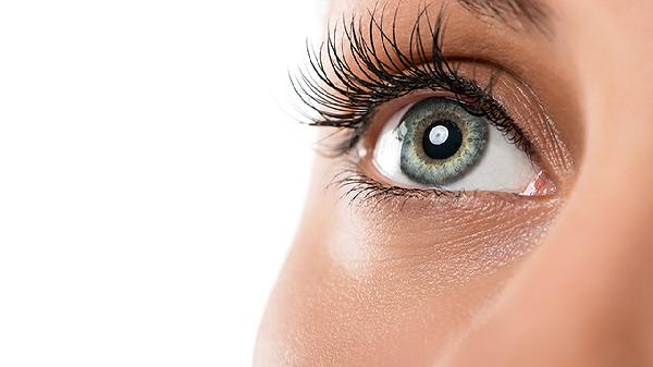 治疗飞蚊症吃什么药
