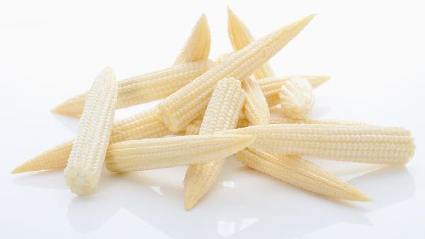 玉米笋可以生吃吗