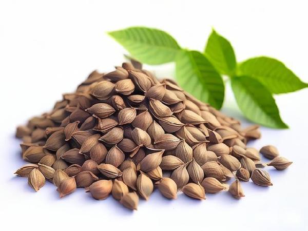 辣木籽怎么吃是正确的