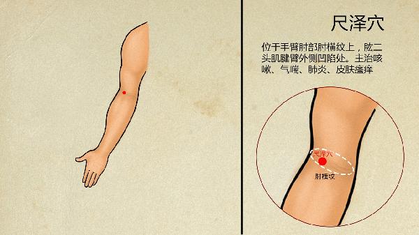 中医科看什么病