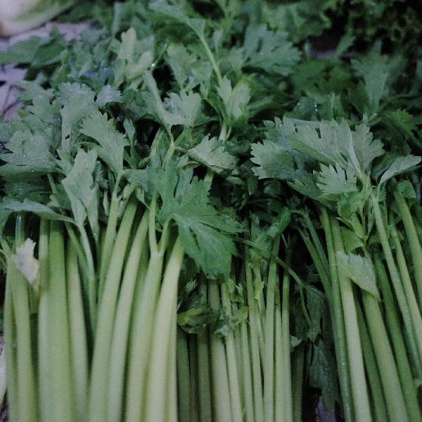 芹菜立大功！经常吃芹菜的人，用不了半年，或有3改善