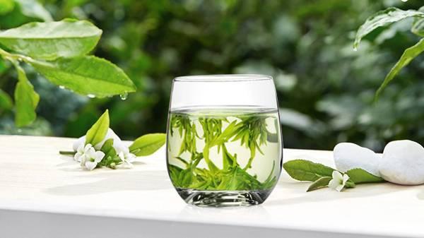 荷叶泡茶能减肥吗