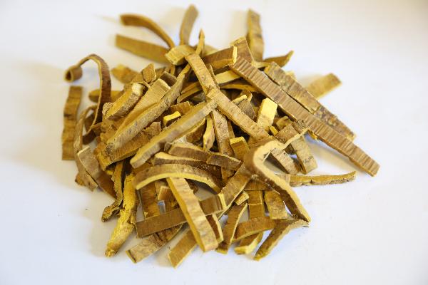 成人牙齿松动用什么药物