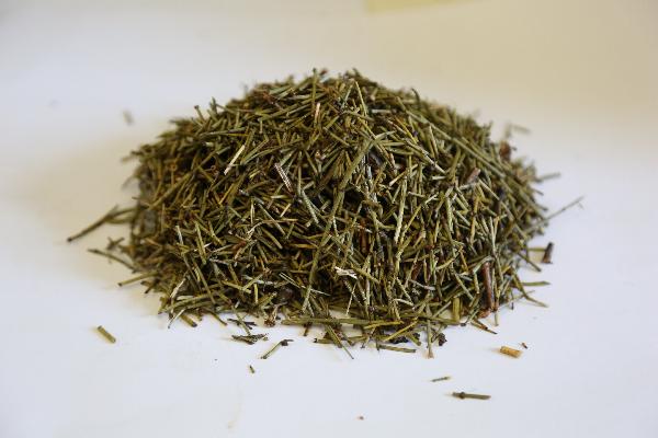 中药怎么治脾阳虚