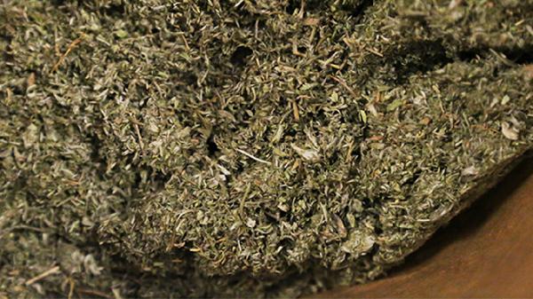 中药降血糖的方法
