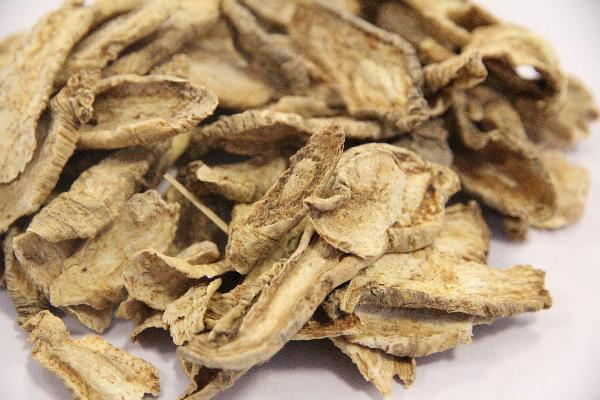 中药地龙的功效与作用
