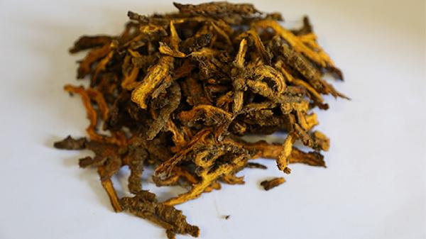 黄连中药的功效与作用