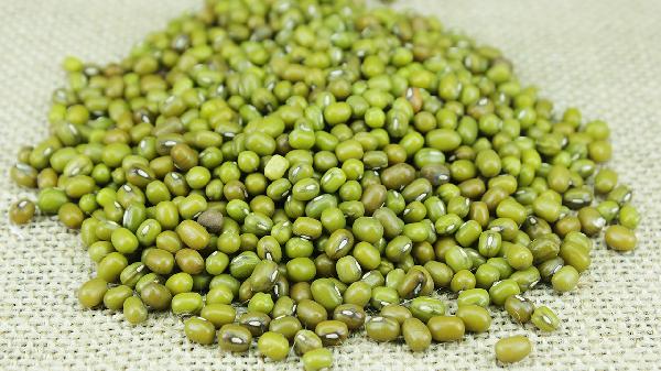 每天吃药还能吃绿豆吗