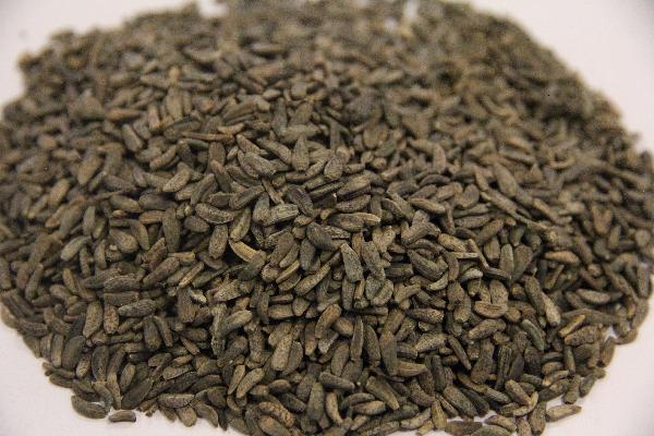 小分子药物主要用于治疗哪种疾病
