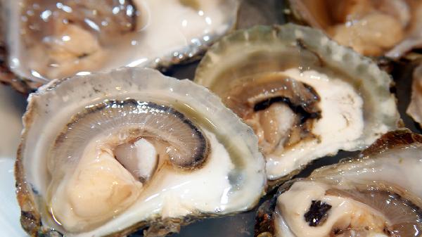 确诊癌症之后,就不能吃海鲜了吗?这3类食物一定要忌口!