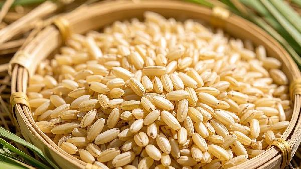 糙米红米黑米的功效与作用禁忌