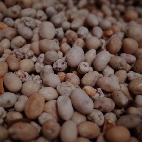 花生被关注!发现:吃得越多,肌少症老年人肌肉流失或越慢?