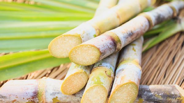 甘蔗再次成为关注对象!医生发现:吃甘蔗时,千万多留意这5点!