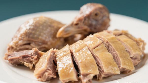 孩子吃鸽子真的好吗?别盲目进补,先搞懂这几点再决定也不迟