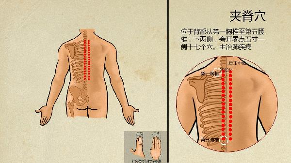 内分泌失调中医怎么调理