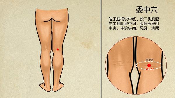 中医把脉看胃病准吗