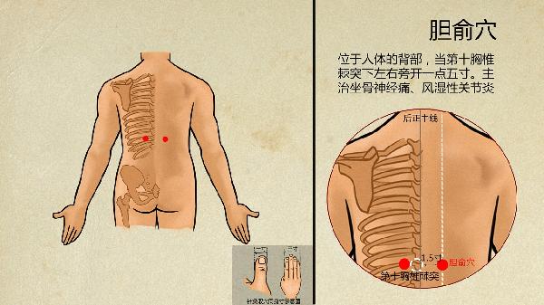 中医外治法有哪些