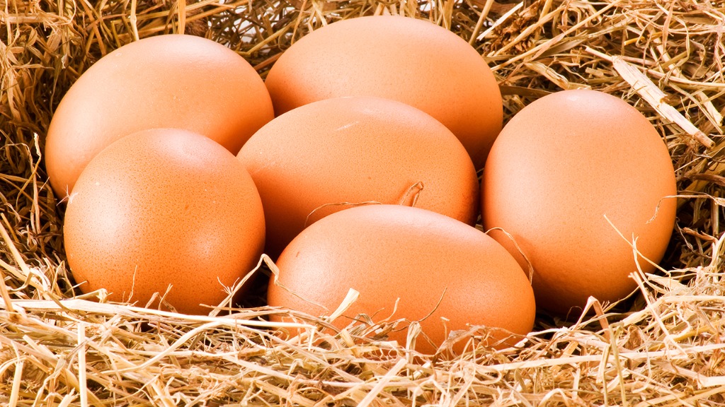 有肾病能不能吃鸡蛋？医生：肾脏不好的人，想健康这几物最好别吃